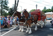 Budweiser Clydesdales Visiting Palatine