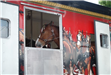 Budweiser Clydesdales Visiting Palatine
