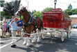 Budweiser Clydesdales Visiting Palatine