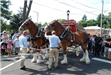 Budweiser Clydesdales Visiting Palatine