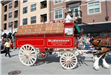 Budweiser Clydesdales Visiting Palatine